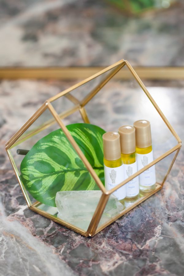 Image of Terrarium Filled with Three Organic Aromatherapy Sticks